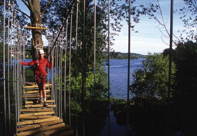  Recorrido entre los árboles 